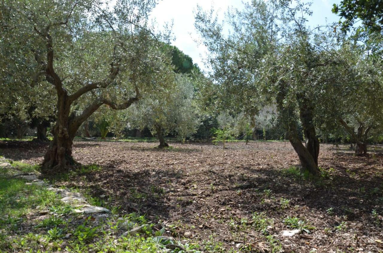 Villa Alchea Locazione Turistica موديكا المظهر الخارجي الصورة