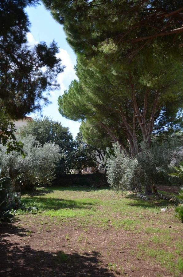 Villa Alchea Locazione Turistica موديكا المظهر الخارجي الصورة