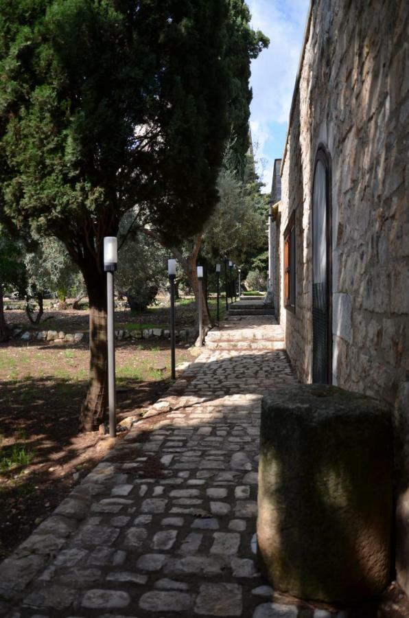 Villa Alchea Locazione Turistica موديكا المظهر الخارجي الصورة